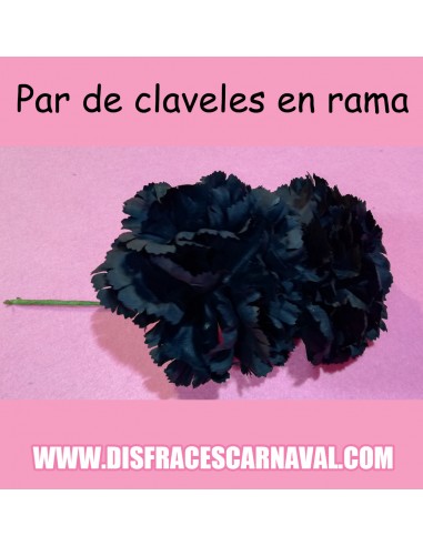Par Claveles en rama