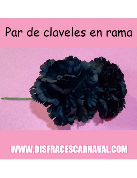 Par Claveles en rama