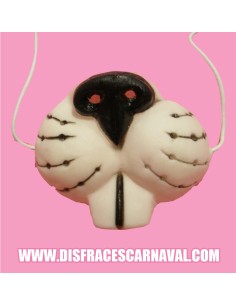 Morro gato 2
