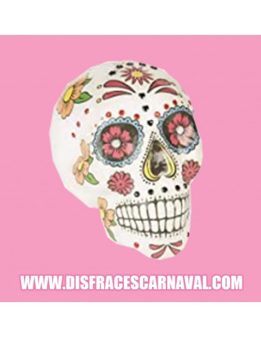 CRANEO CALAVERA MEJICANA