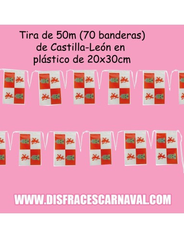 PAQ. BANDERAS CASTILLA-LEON 50m PLASTICO 20x30 (70 BANDERAS)  2024