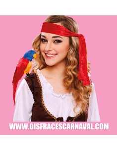 LORO PLUMAS COLORES PARA PIRATA 23cm
