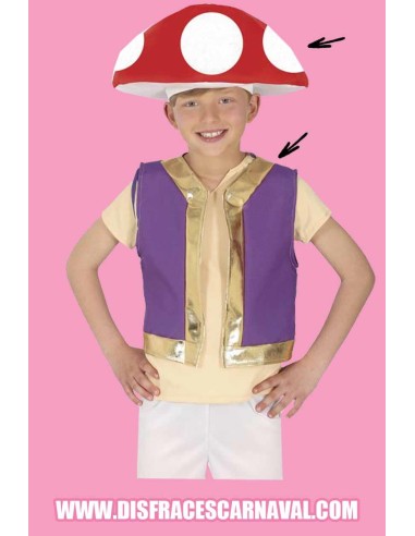 GORRO SETA + CHALECO MORADO Y ORO
