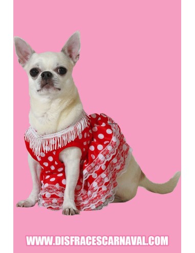 PERRO-FLAMENCA VESTIDO DE LUNARES RJ-BL