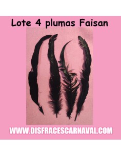BOLSA 4 PLUMAS FAISAN 2
