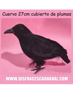 CUERVO NEGRO REVESTIDO DE PLUMAS 27cm 2