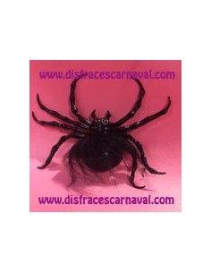 Araña grande con ventosa 2