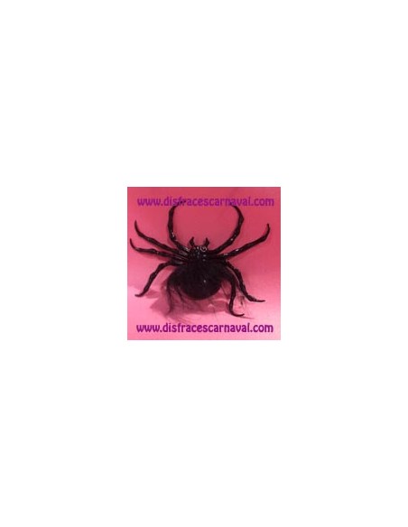 Araña grande con ventosa