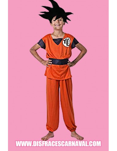 Guerrero de comic Manga Infantil