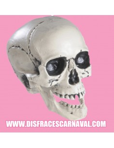 Craneo Plastico mandibula movil