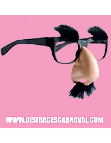 Gafas con nariz y pelo