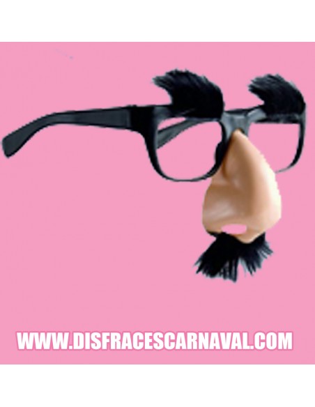Gafas con nariz y pelo