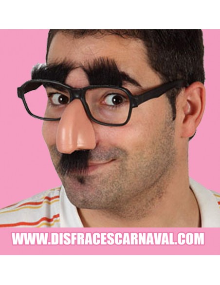 Gafas con nariz y pelo