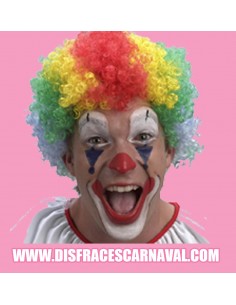 Payaso multicolor