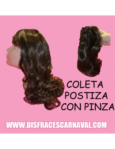 Coleta Postiza Pinza Rb/Ct